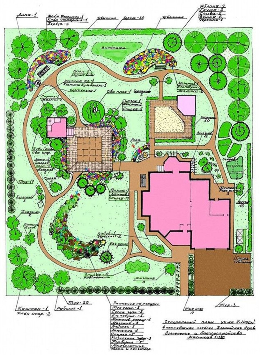 Дендроплан участка 10 соток схемы