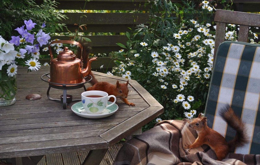 Чаепитие на веранде на фоне природы