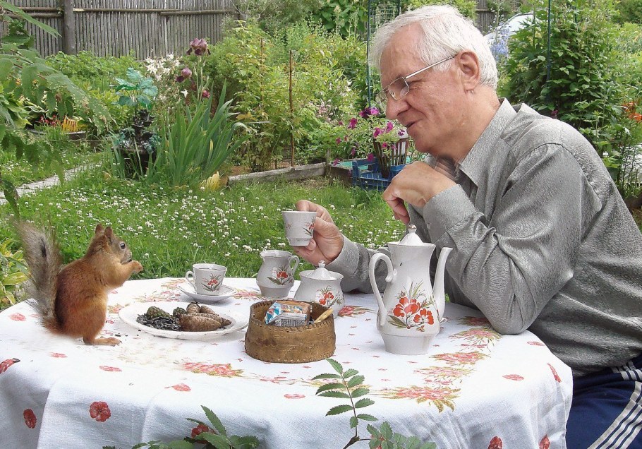 Чаепитие юмор