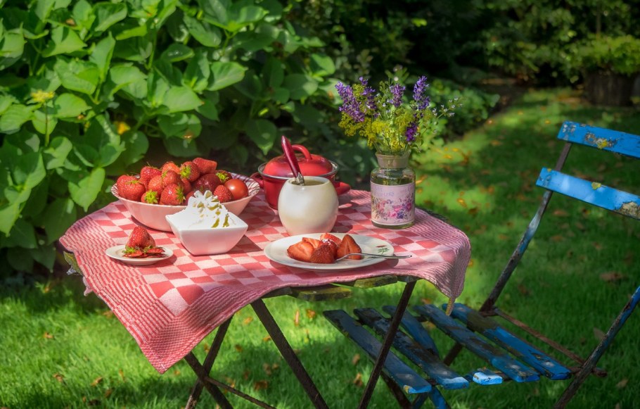 Завтрак на природе