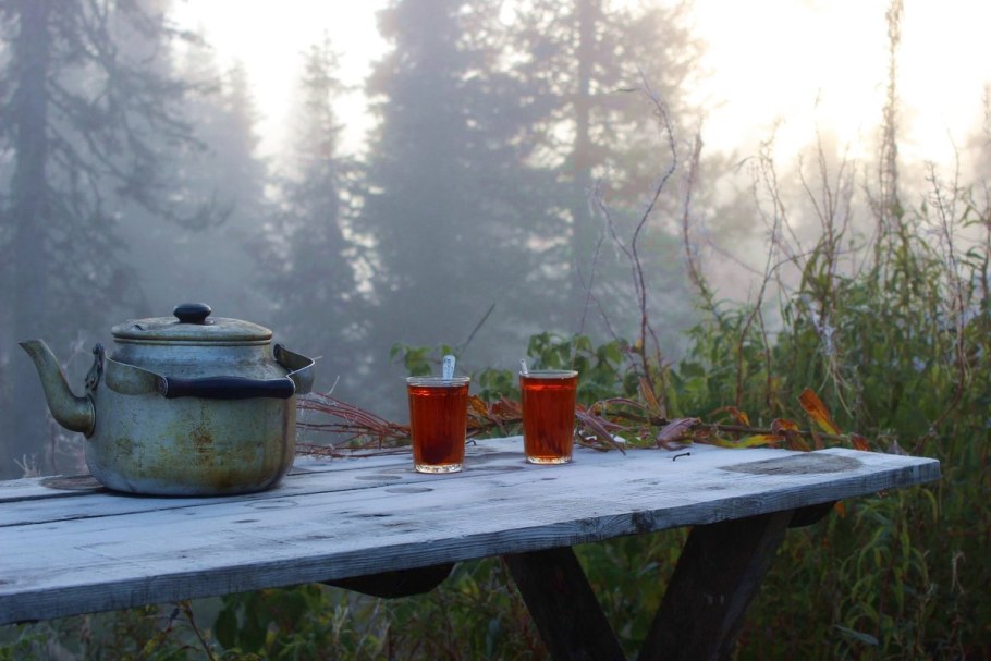 Чаепитие на природе