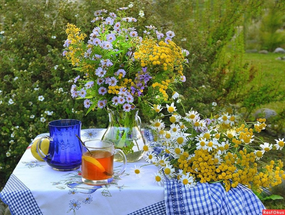 Июль на даче