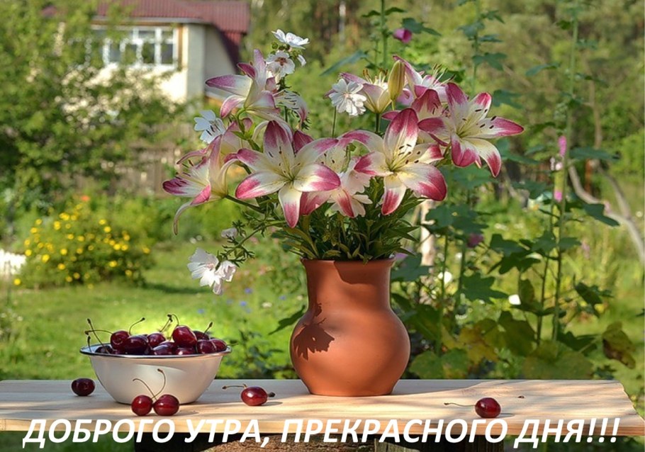 Июньские цветы в саду