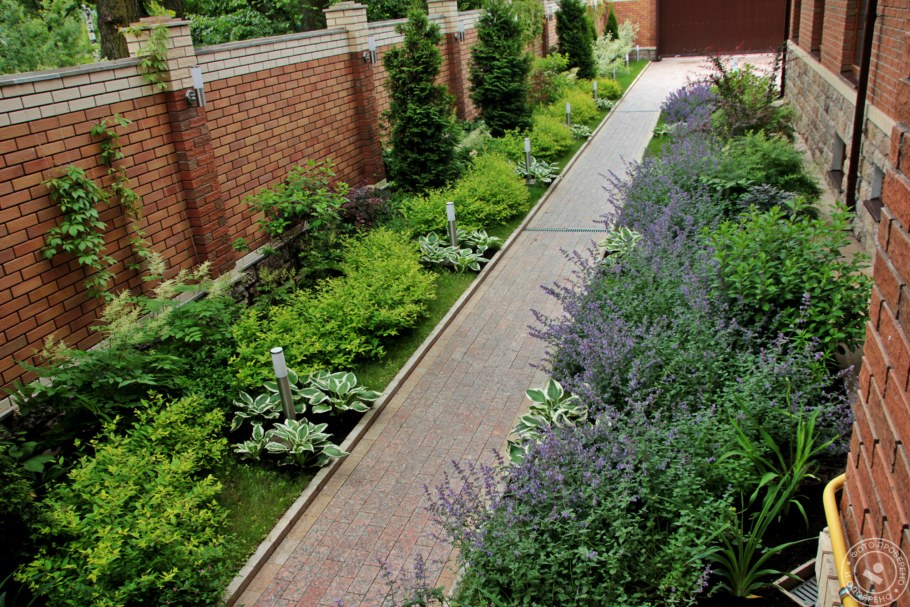 Узкий миксбордер вдоль забора