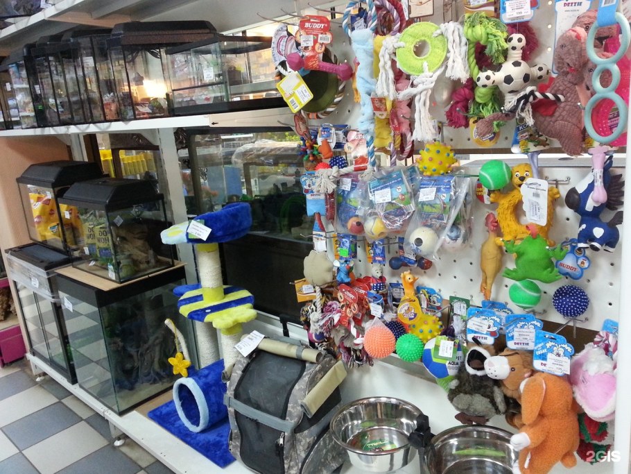 Сопутствующие товары в зоомагазине