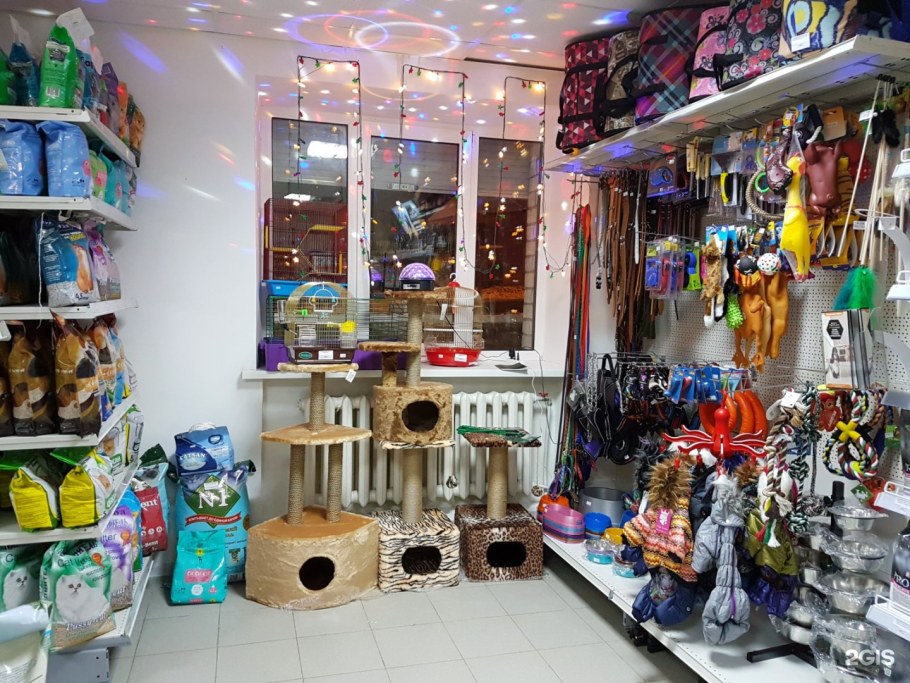Красивый зоомагазин