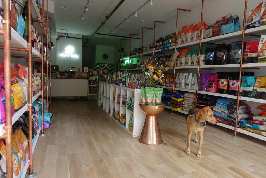 Интерьер магазина для животных