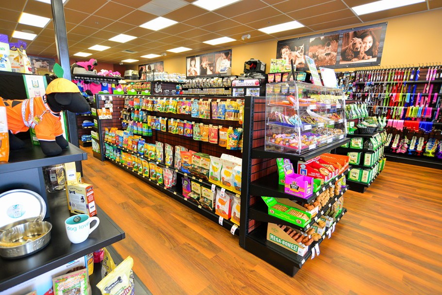 Красивый зоомагазин