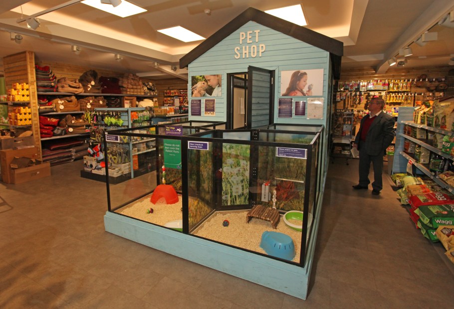 Магазин животных