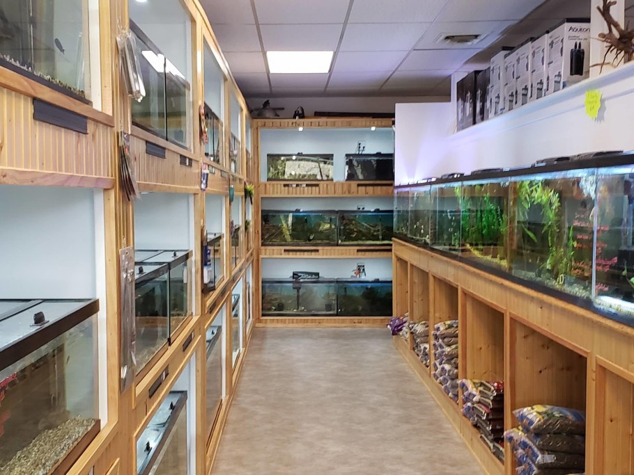 Экзотический зоомагазин