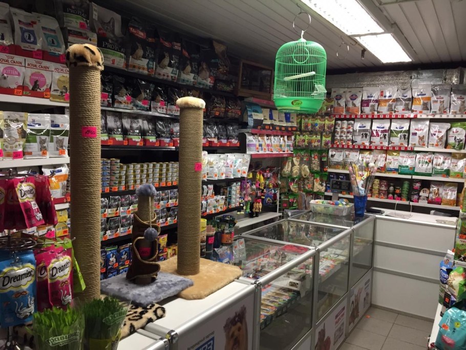 Зоомагазин изнутри с животными