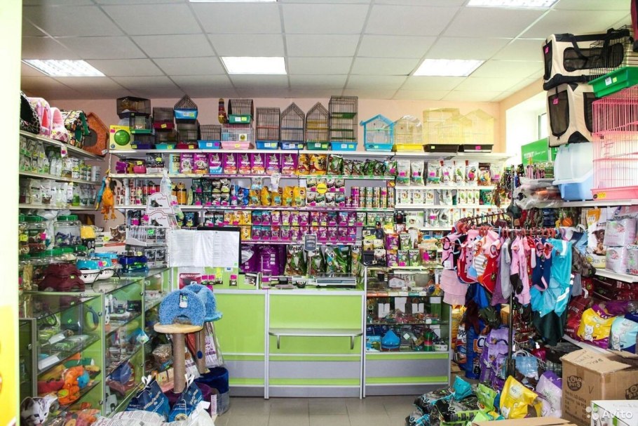 Зоомир Петрозаводск