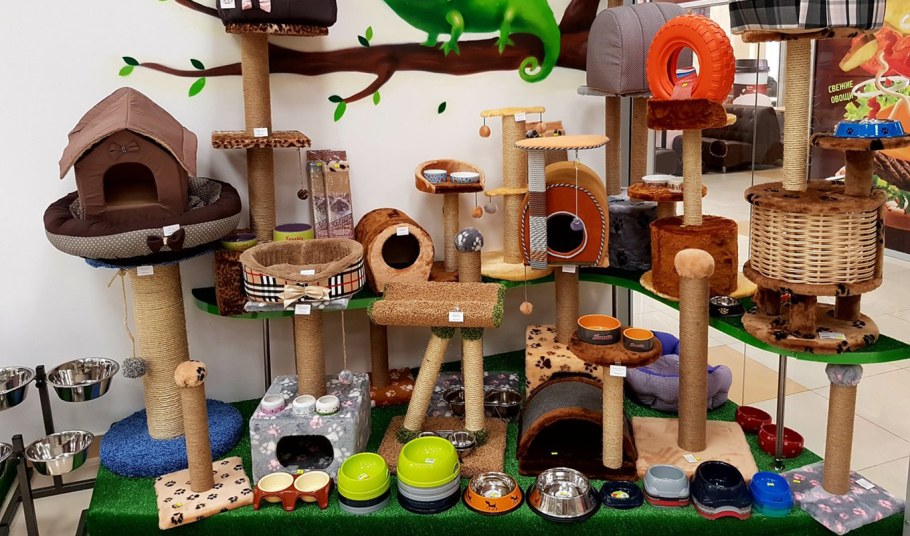 Красивый зоомагазин