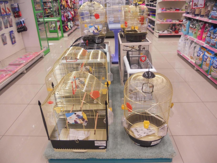 Магазин для животных зоомагазин