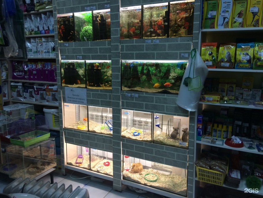 Зоомагазин интерьер