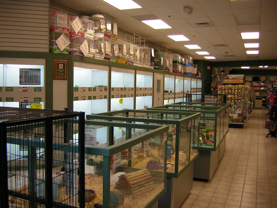 Зоомагазин в Америке