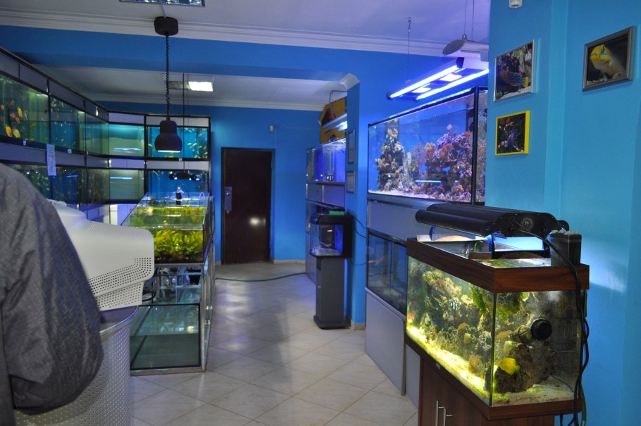 Зоомагазин аквариум