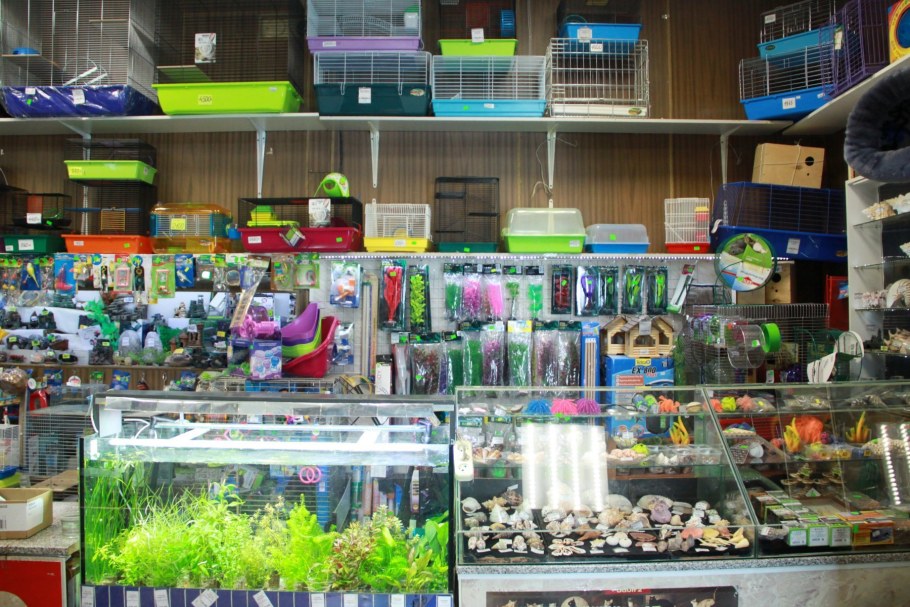 Дизайнерские зоотовары