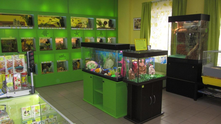 Желтый слон Тольятти зоомагазин