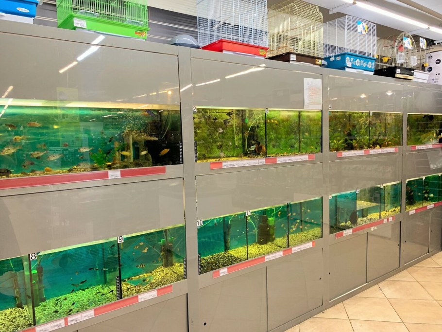 Новосёл Евпатория магазин