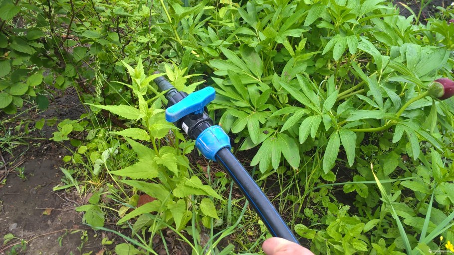 Полив на даче из ПНД труб