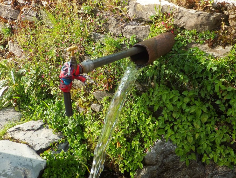 Шланги для полива огорода