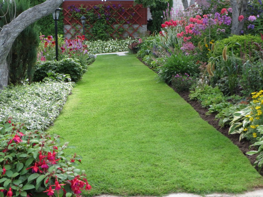 Огородный миксбордер