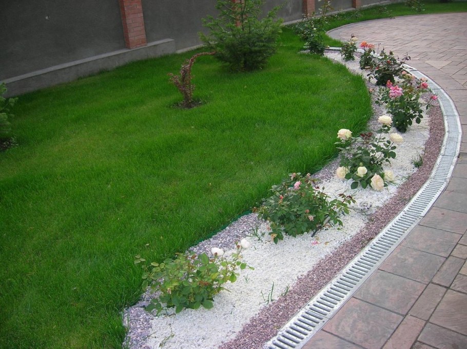 Самшит Живая изгородь