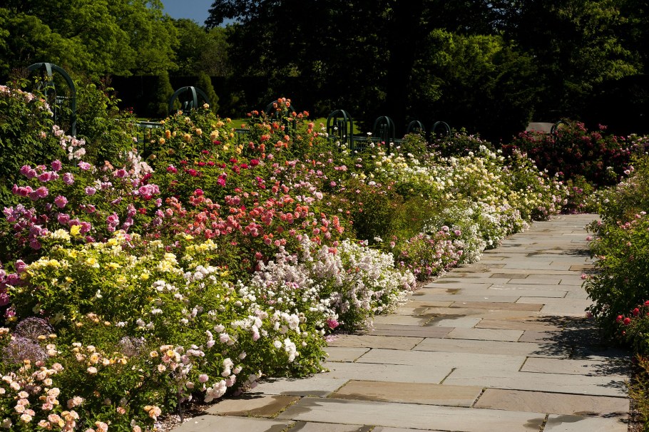 Клумба рабатка