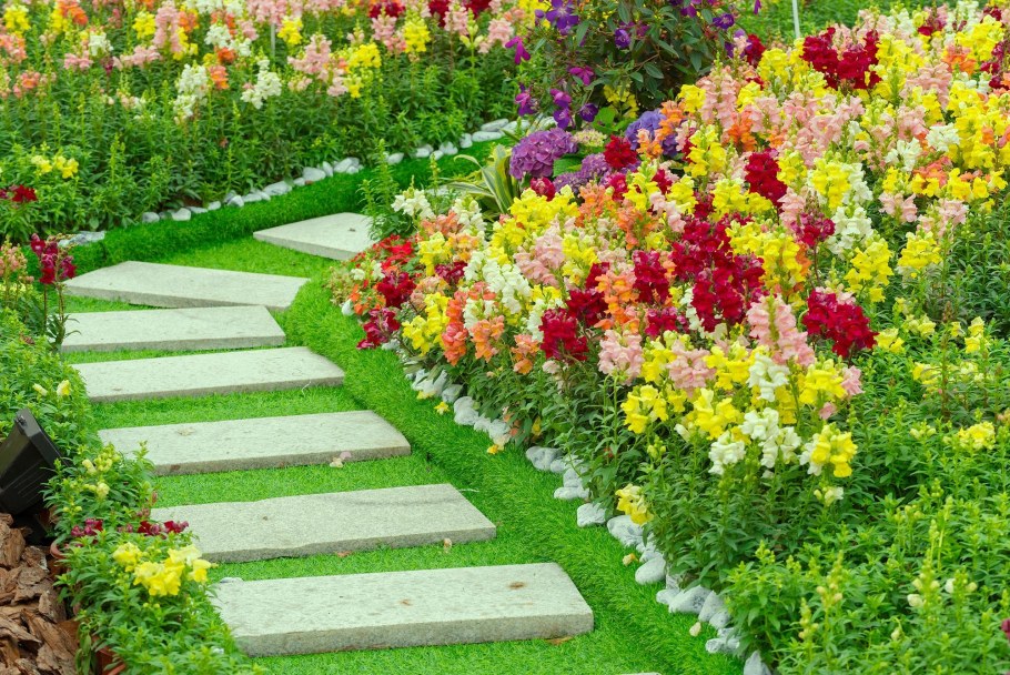 Спирея в ландшафте