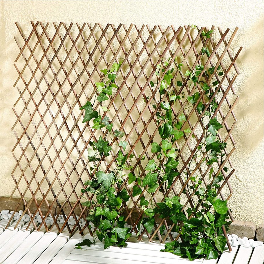 Шпалера Леруа Мерлен