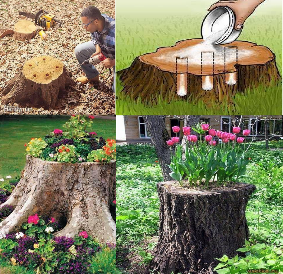 Декор пней на садовом участке