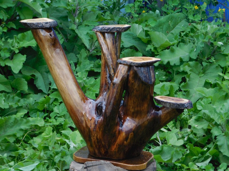 Коряга на дачном участке