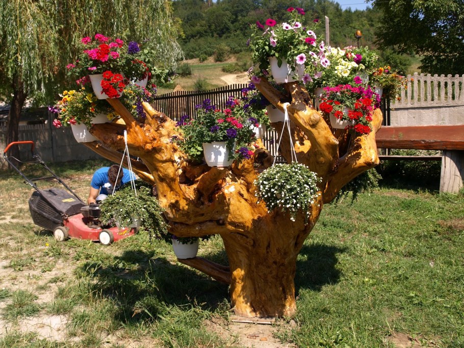 Цветник из пней