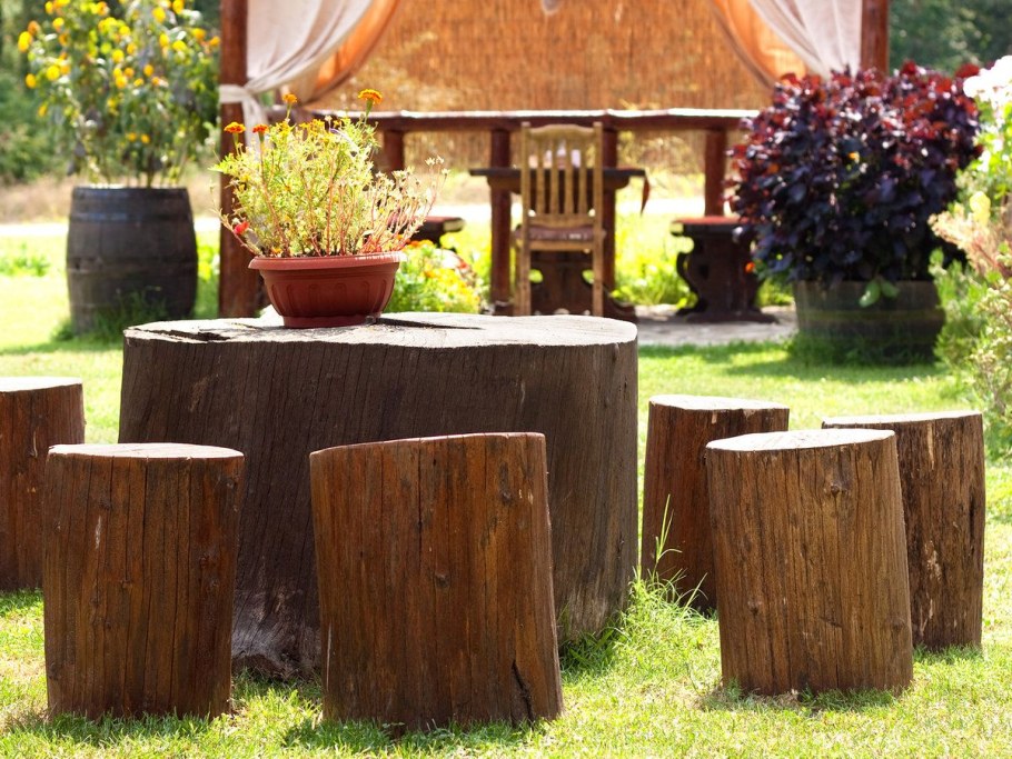 Рутарий на даче