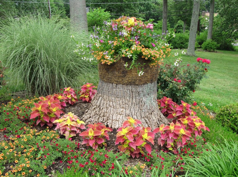 Декорация клумб