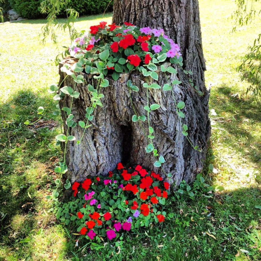 Рутарий — арка