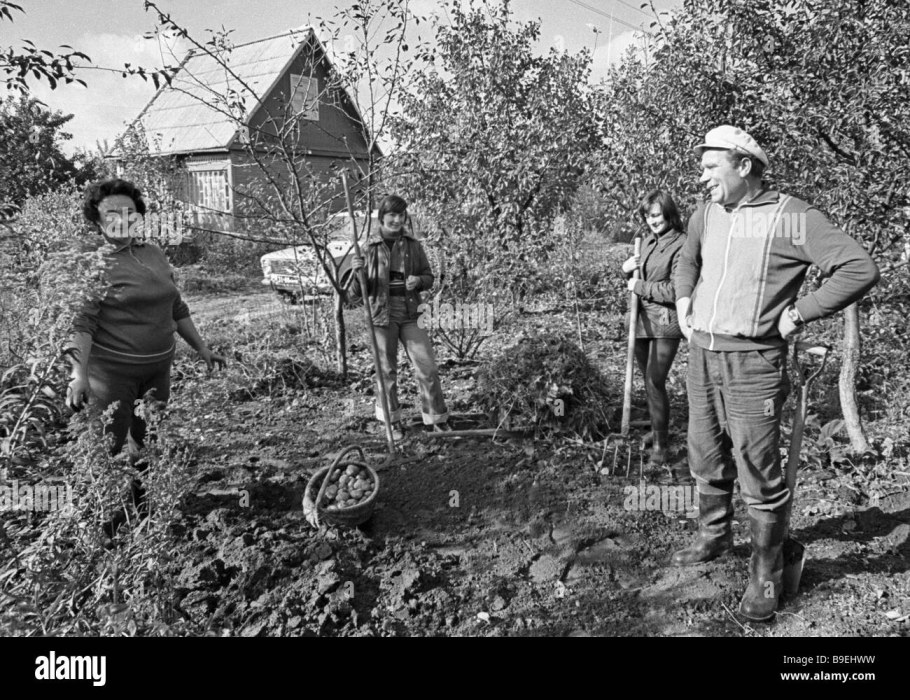 Советская семья на даче