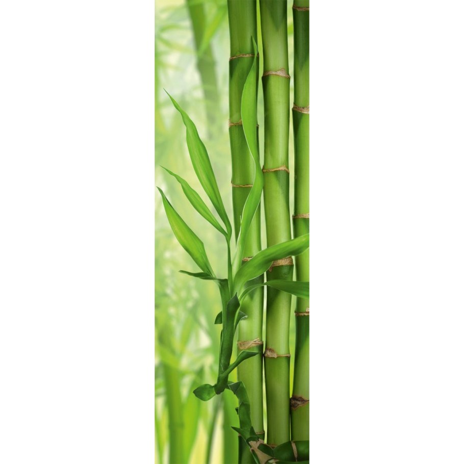 Фотообои 200х100 см