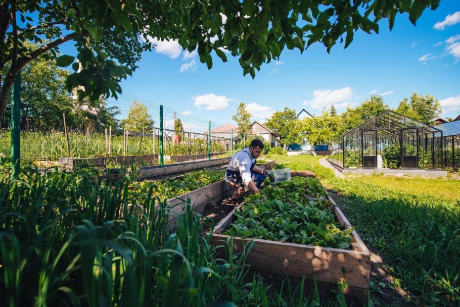 Синяя дача Дымова Суздаль