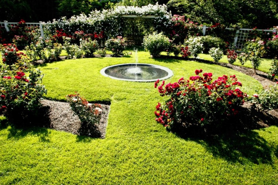 Партерный розарий