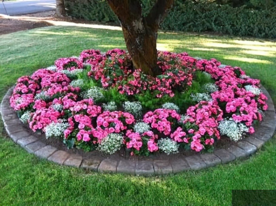 Обриета приствольный круг