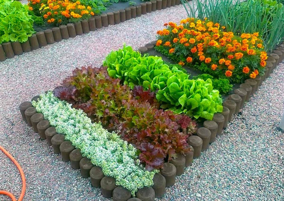 Клумбы, рабатки, бордюры, Альпийская горка