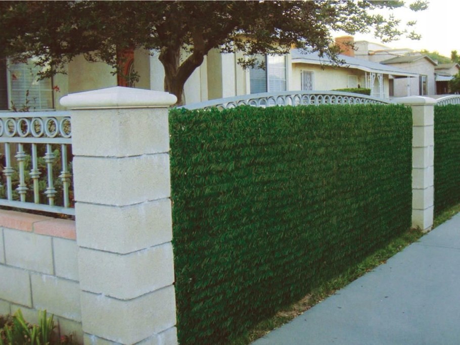 Забор из шпалеры