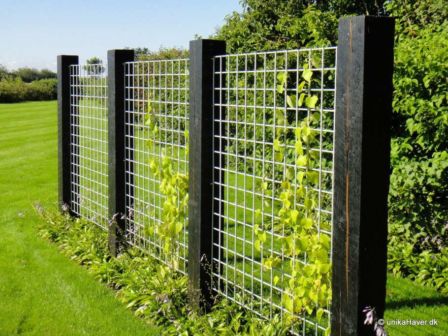 Лента заборная на сетку рабица 47,5 мм графит рулон 50 МБ