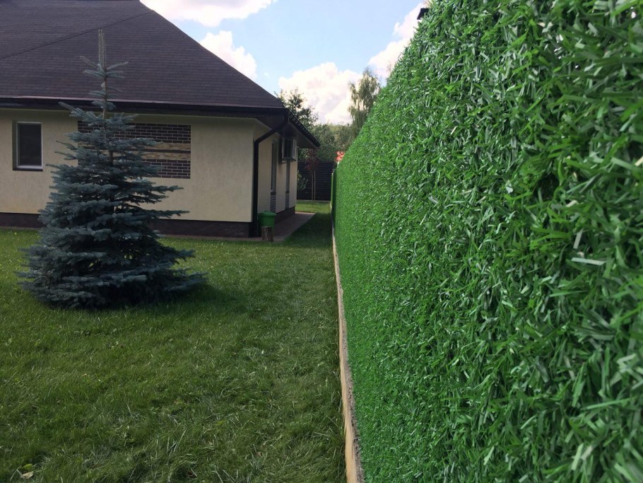 Беньес Живая изгородь