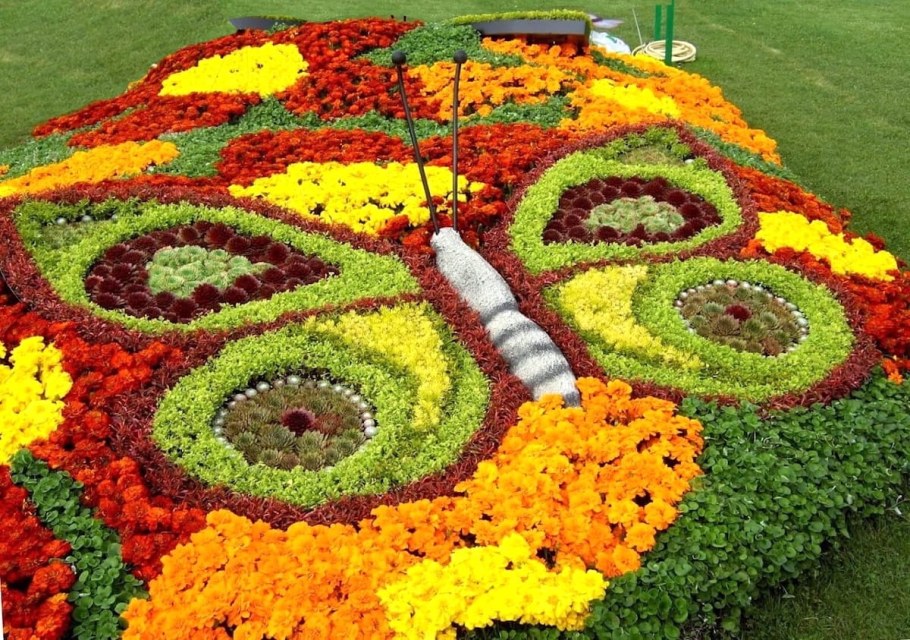 Цветочные клумбы