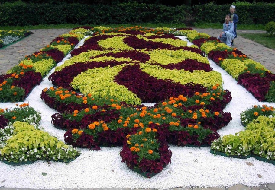 Ковровые цветники