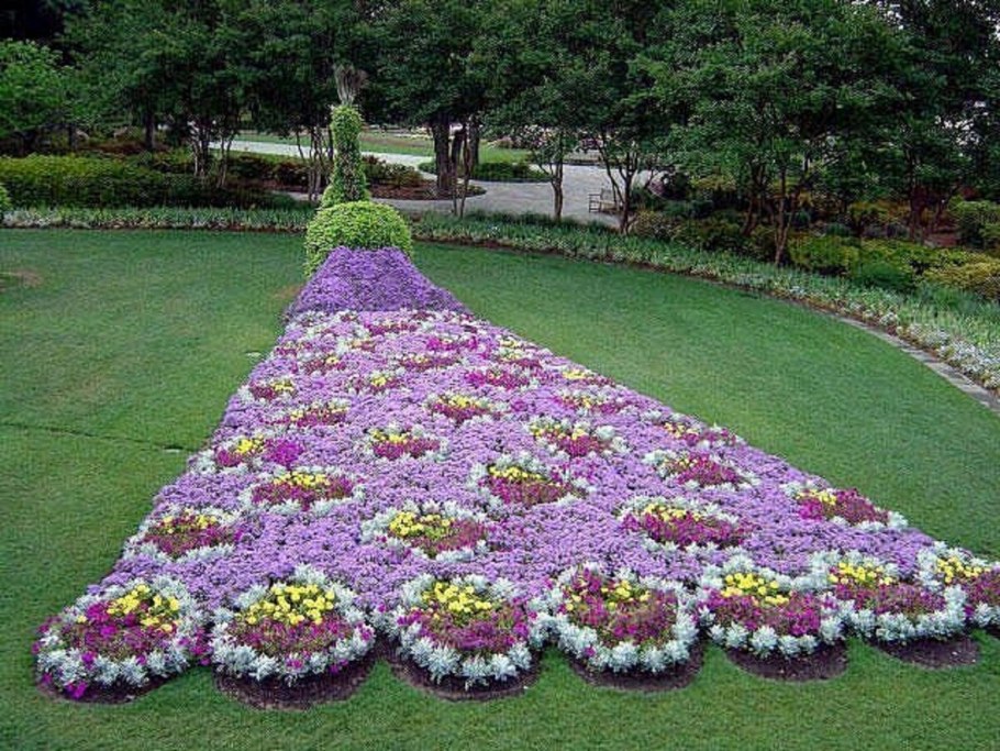 Цветочная клумба Павлин