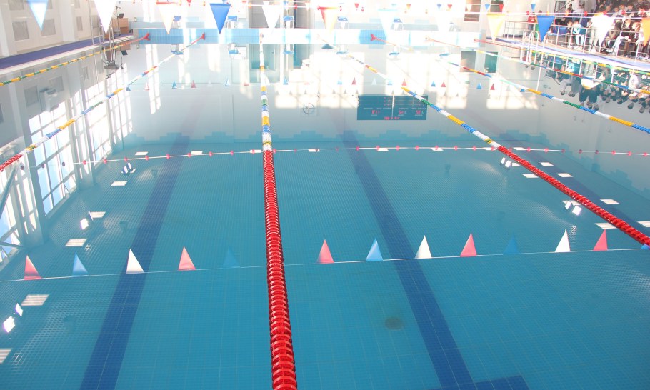 Бассейн Ледовый дворец Брянск